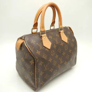 Louis Vuitton Speedy Monogram Handbag Brown